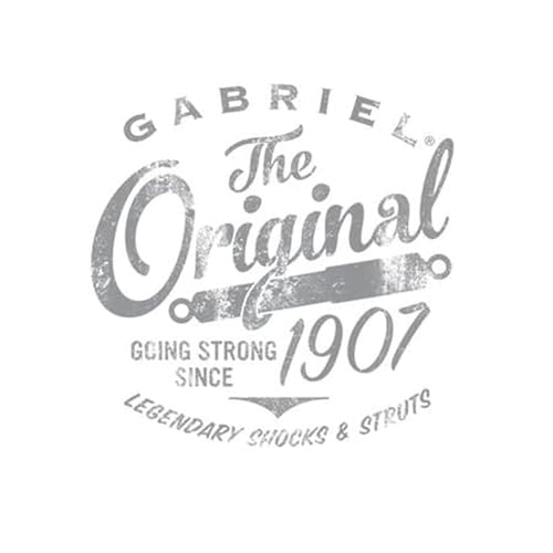Gabriel 14004 Front Steering Dampers Reduce Vibration & Improves Handling for 59-77 Volkswagen Beetle; 73-74 Volkswagen Thing OEM# 22003, 14004 (1 Pack)