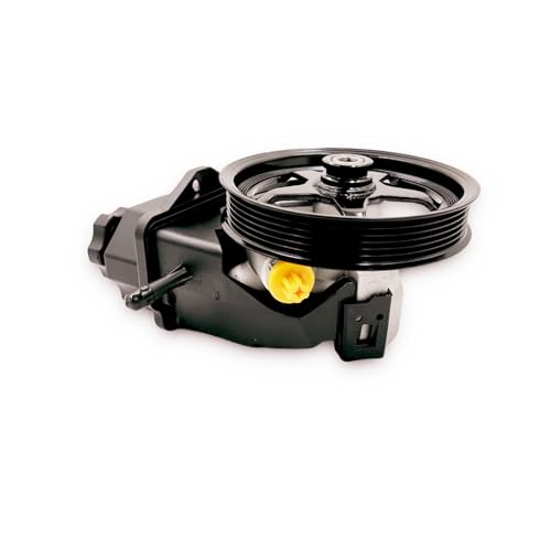 TALAMOYI Power Steering Pump 20-69989 with Reservoir Pulley Compatible With 2006-2007 Chevrolet Monte Carlo,2006-2011 Chevrolet Impala,2006-2011 for Chevy Impala