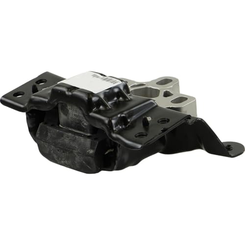 Rein - Transmission Mount