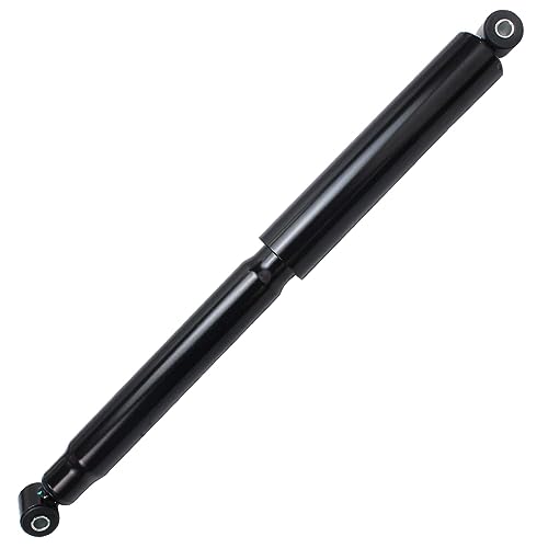 Detroit Axle - 2WD Shock Absorbers for 97-04 Dakota, 99-03 Dodge Durango, 4 Front and Shock Absorbers Assembly 1999 2000 2001 2002 2003 Replacement
