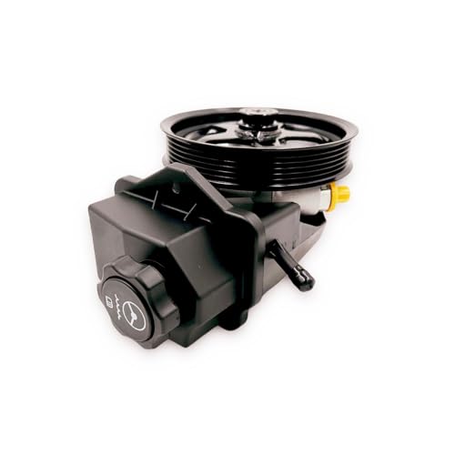 TALAMOYI Power Steering Pump 20-69989 with Reservoir Pulley Compatible With 2006-2007 Chevrolet Monte Carlo,2006-2011 Chevrolet Impala,2006-2011 for Chevy Impala