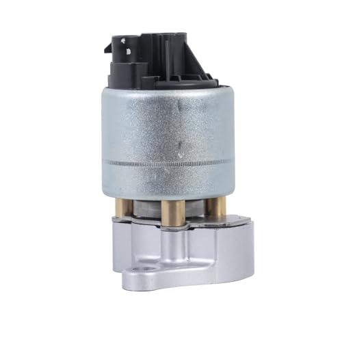 EVERESTWAY EGR Valve Replaces EGV589 Compatible with Chevrolet Express Suburban C1500 Silverado 1500 Impala/GMC K1500 Savana Sierra Yukon/Buick LeSabre Avenue/Cadillac/Pontiac Direct Replacement