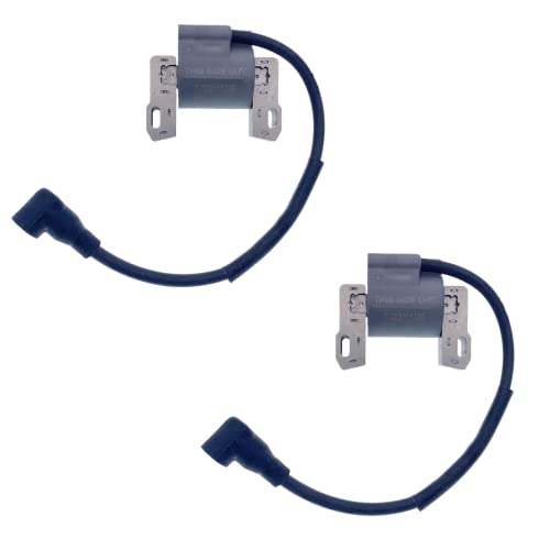 IGCLINIC 2Pcs Ignition Coil Compatible with Briggs & Stratton 401000 405000 407000,18-22HP Intek V-Twin Engine,Replaces Part #592846, 691060, 799651