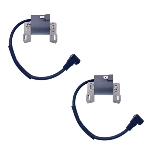 IGCLINIC 2Pcs Ignition Coil Compatible with Briggs & Stratton 401000 405000 407000,18-22HP Intek V-Twin Engine,Replaces Part #592846, 691060, 799651