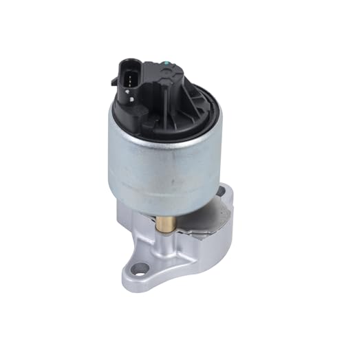 EVERESTWAY EGR Valve Replaces EGV589 Compatible with Chevrolet Express Suburban C1500 Silverado 1500 Impala/GMC K1500 Savana Sierra Yukon/Buick LeSabre Avenue/Cadillac/Pontiac Direct Replacement