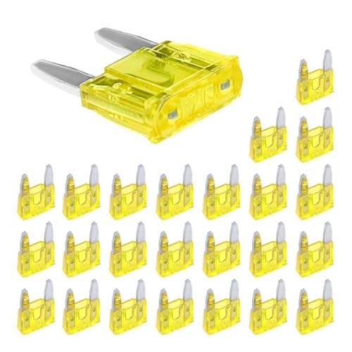 Rdxcv 25 PCS 20 Amp Mini Car Fuses, 20A Automotive Blade Fuse Replacement, Auto Fuse Kit for Car RV Truck Motorcycle SUV Boat