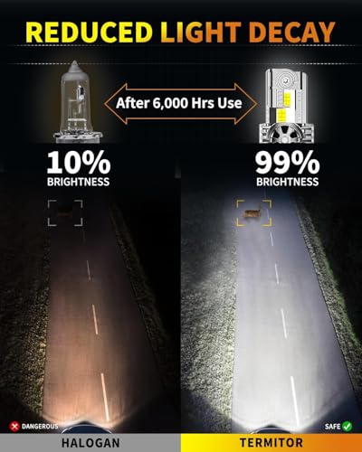 Termitor Latest H4 9003 Fog Light Bulb, HB2 Halogen for Off-road