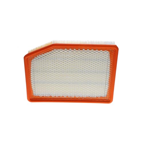 ACDelco GM Original Equipment A3246C (84121217) Air Filter