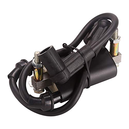 10L0L Golf Cart Dual Ignition Coil with Spark Plugs for EZGO 4-Cycle 1991-2002 Pre-MCI Engine/Robin 295CC Robin 350CC Gas Models, OEM 26652G01,EPIGC103