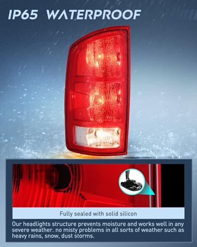 Nilight Taillight Assembly Compatible with 2002 2003 2004 2005 2006 Dodge Ram 1500 2500 3500 Rear Lamp Replacement OE Style Driver Side