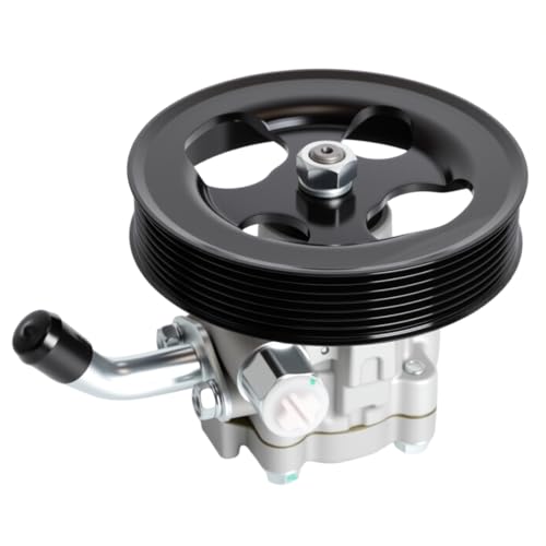 Loautong Power Steering Pump with Pulley, for Infiniti QX56 2004-2011, for Nissan Armada 2005-2009, for Nissan Pathfinder 2008-2010, for Nissan Titan 2004-2010, V8 5.6L, Replace 21-5366 96-5366