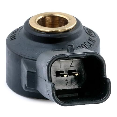 Bosch Knock Sensor - 0261231197