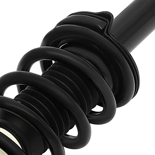 ECCPP 2pcs Rear Pair Complete Strut Assembly Shock Absorber for 2012 2013 2014 2015 2016 for Honda CR-V