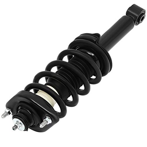 ECCPP 2pcs Rear Pair Complete Strut Assembly Shock Absorber for 2012 2013 2014 2015 2016 for Honda CR-V