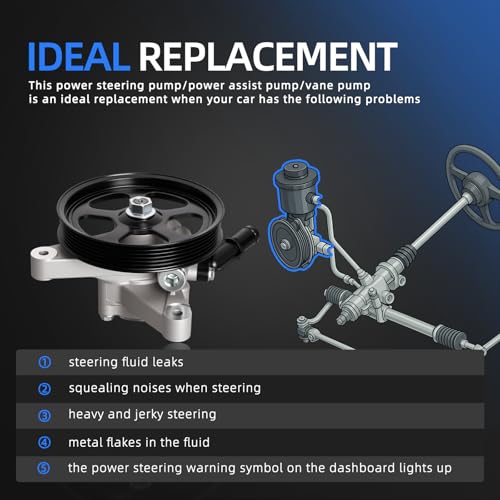 Loautong Power Steering Pump with Pulley, for Honda Accord 3.0L 2003-2007 for Acura MDX 3.5L 2003-2006, OE 21-5349 96-5349 56110RDJA02 56110-RCA-A01 56110RDJA01 56483RDAA01