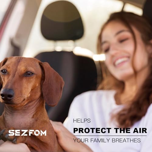 SEZFOM HEPA Cabin Air Filter for Tesla Model 3 Model Y (2016-2026) with Activated Carbon(2-pack) Dual layer Air Filter Replacement