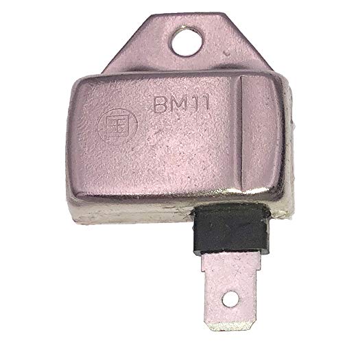 PARTSRUN Igniter Ignition Module 21119-2161 21119-2095 for Kawasaki M73484 M70114 John Deere ZF-IG-A00345