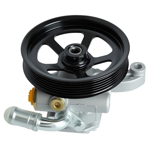 Loautong Power Steering Pump with Pulley, for Buick Enclave 2008-2017, for Chevy Traverse 2009-2017, for GMC Acadia 2007-2016, for Saturn Outlook 2007-2010, Replace 20-2403 96-2403 20954812