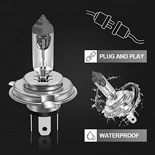 WinPower H4 HB2 Halogen Bulbs 60/55W, Pack of 2