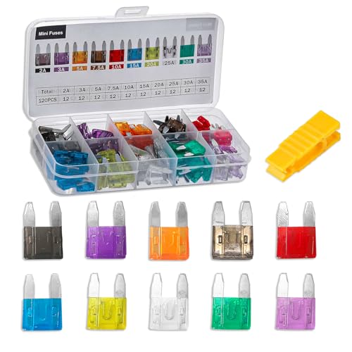 QZTYTY Standard Car Fuse, Professional Blade Fuses Automotive, 120PCS
