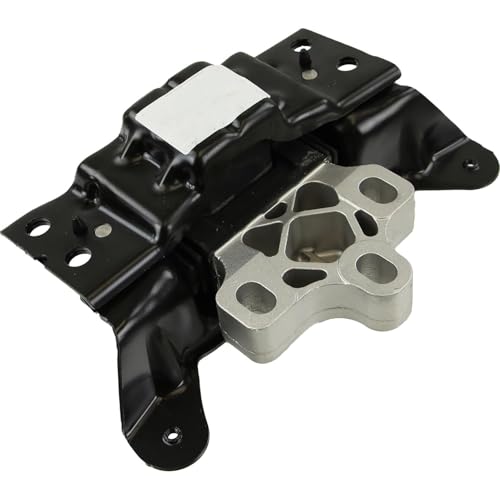 Rein - Transmission Mount