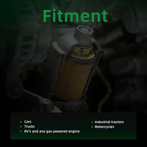 Riyhch 10 Pcs 3/8" Universal Inline Fuel Filters for Cars Industrial Tractors Trucks Motorcycles RV's Gas Powered Engine
