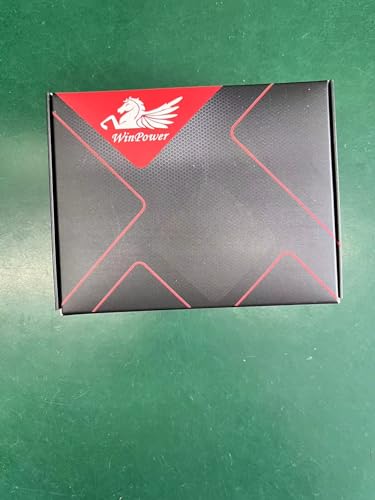 WinPower H4 HB2 Halogen Bulbs 60/55W, Pack of 2