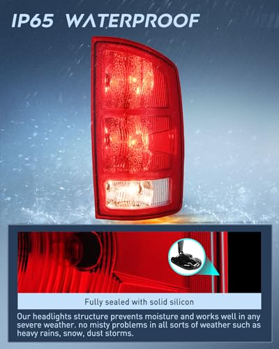 Nilight Taillight Assembly Compatible with 2002 2003 2004 2005 2006 Dodge Ram 1500 2500 3500 Rear Lamp Replacement OE Style Passenger Side