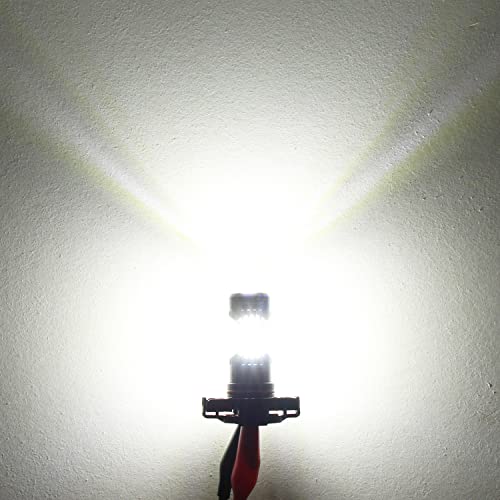 PHINLION 2504 PSX24W 12276 LED Fog Light Bulbs, 3200 Lumens Super Bright, 6000K Xenon White, 3030 30 SMD Chips, DRL Replacement Lamps for Cars, Trucks, SUVs, Pack of 2
