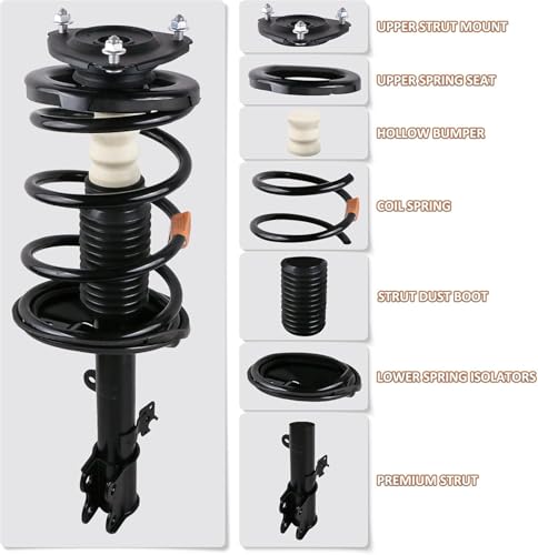 MOSTPLUS 172248 Front Strut Spring Assemblies Compatible for 2005-2010 Chrysler 300 2006-2010 Dodge Charger 2006-2010 Magnum V6 (Set of 2)