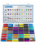 Riseuvo 316 Pcs Car Fuses Kit - Blade Replacement Assortment Fuses for RV, Camper, Boat, Truck, Motorcycle (2A 3A 5A 7.5A 10A 15A 20A 25A 30A 35A 40A) - Standard & Mini & Low Profile Mini Fuse