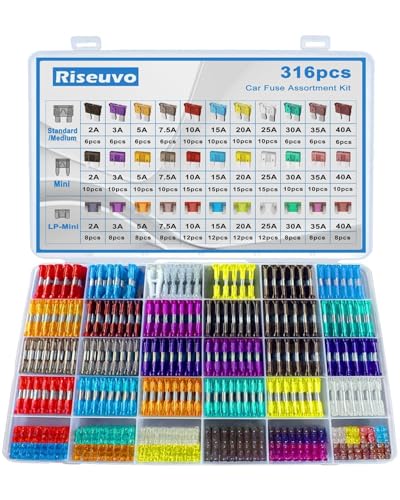 Riseuvo 316 Pcs Car Fuses Kit - Blade Replacement Assortment Fuses for RV, Camper, Boat, Truck, Motorcycle (2A 3A 5A 7.5A 10A 15A 20A 25A 30A 35A 40A) - Standard & Mini & Low Profile Mini Fuse