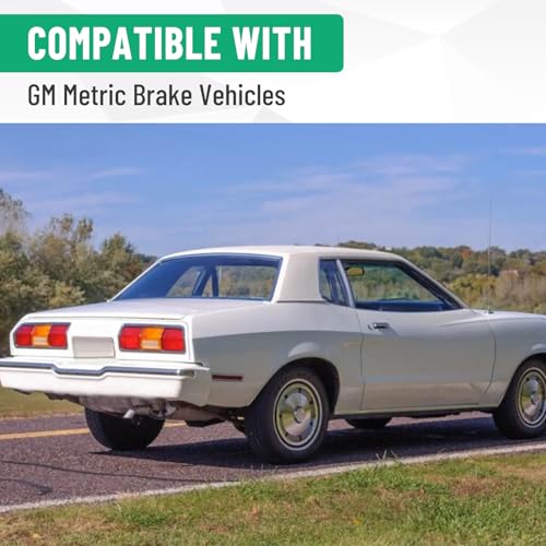 Racewill 2PCS Stainless Steel Brake Lines, Compatible with GM Metric Brake Vehicles, with 10mm Banjo to 3/8"-24 Inverted Flare Female Swivel Adapter and Frame Tabs
