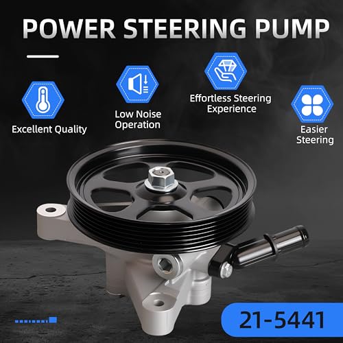 Loautong Power Steering Pump with Pulley, for Honda Pilot 3.5L V6 2005 2006 2007 2008, for Acura TL 3.2L V6 2004 2005 2006 2007 2008, Replace 21-5441 56110RDAA01 56110PVJA01 56483RDAA01 96-5441