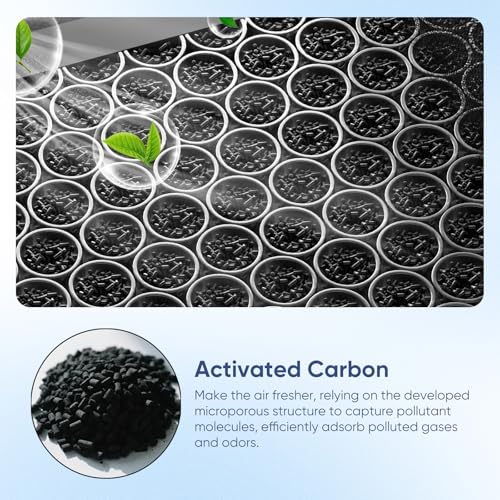Reilauto Tesla Model 3 Model Y Cabin Air Filter Accessories, 2 Pack H13 HEPA Filter Replacement with Premium Activated Carbon, 4-Stage Filtrtion Structure (2016-2025)