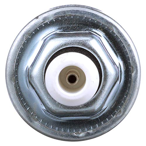 Delphi AS10017 Ignition Knock (Detonation) Sensor