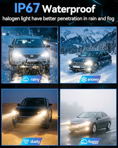 NEWBROWN H11 Headlight Bulb H11 Halogen Headlight Bulb 5000K Super White Light Long Life Replacement PGJ19-2 12V/55W (H11, 2 Pack)