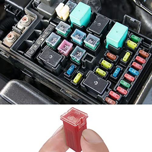 1221PCS Car Fuse Assortment Kit Mini &Standard Blade Tall/STD Profile Box Shaped Automotive Fuses with Fuse Puller and Circuit Tester, for Cars Trucks SUVs Boats, Double Sided Organizer