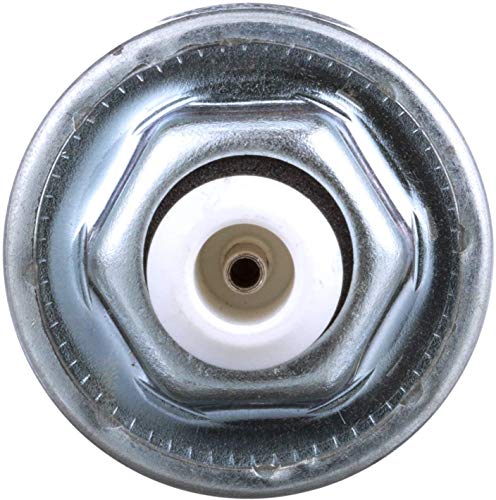 Delphi AS10017 Ignition Knock (Detonation) Sensor