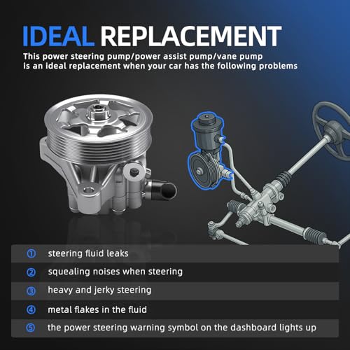 Loautong Power Steering Pump with Pulley, for Honda Accord 2008 2009 2010 2011 2012 2.4L, OE 21-5495, 56100R40A03