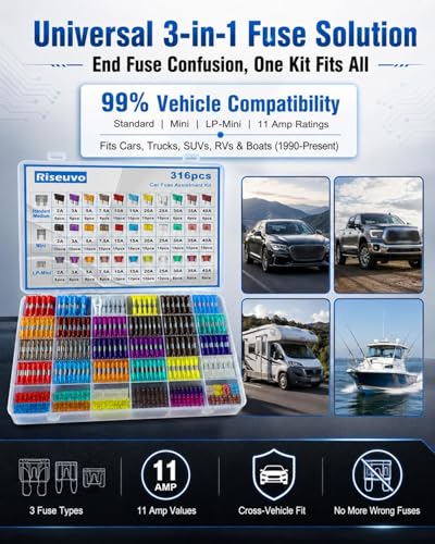 Riseuvo 316 Pcs Car Fuses Kit - Blade Replacement Assortment Fuses for RV, Camper, Boat, Truck, Motorcycle (2A 3A 5A 7.5A 10A 15A 20A 25A 30A 35A 40A) - Standard & Mini & Low Profile Mini Fuse