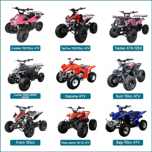 FVRITO PZ20 Carburetor Kit for Tao tao Coolster 125cc 110cc 90cc 70cc 50cc Kazuma Baja Chinese ATV Quad 4 Wheeler SunL NST Roketa Loncin Lifan XR80 CRF70 4 Stroke Go Kart Pit Dirt Bike Parts