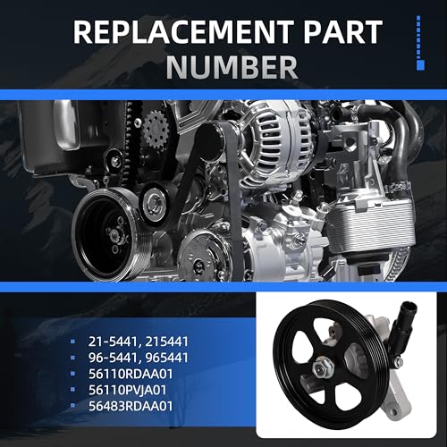 Loautong Power Steering Pump with Pulley, for Honda Pilot 3.5L V6 2005 2006 2007 2008, for Acura TL 3.2L V6 2004 2005 2006 2007 2008, Replace 21-5441 56110RDAA01 56110PVJA01 56483RDAA01 96-5441