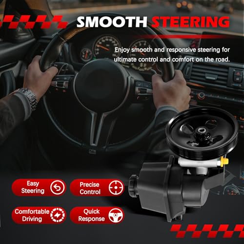 Autodevil 20-65990 Power Steering Pump with Pulley & Reservoir Fit for 2002-2009 Trailblazer & Envoy, 06-09 9-7x 4.2i, 2005 9-7x Linear, 07-08 Ascender, 04-07 Rainier, 02-04 Bravada, 4.2L 5.3L 6.0L