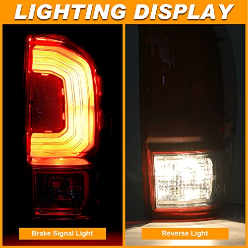 Nakuuly Tail Light Rear Lamp Compatible With 2016-2023 Toyota Tacoma Right Passenger Side Taillight Brake Signal Assembly with Bulb # ‎81550-04170