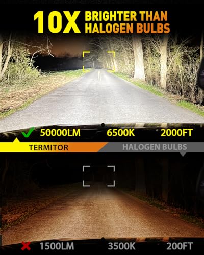 Termitor Latest H4 9003 Fog Light Bulb, HB2 Halogen for Off-road