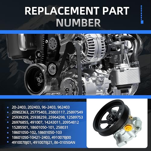 Loautong Power Steering Pump with Pulley, for Buick Enclave 2008-2017, for Chevy Traverse 2009-2017, for GMC Acadia 2007-2016, for Saturn Outlook 2007-2010, Replace 20-2403 96-2403 20954812