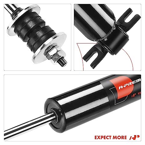 A-Premium Front Pair (2) Shock Absorber Compatible with Dodge Ram 1500 2002 2003 2004 2005 2006 2007 2008, RWD, Driver and Passenger Side