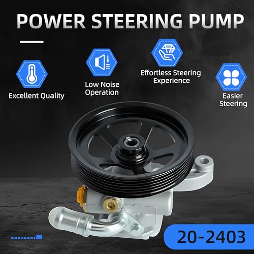 Loautong Power Steering Pump with Pulley, for Buick Enclave 2008-2017, for Chevy Traverse 2009-2017, for GMC Acadia 2007-2016, for Saturn Outlook 2007-2010, Replace 20-2403 96-2403 20954812