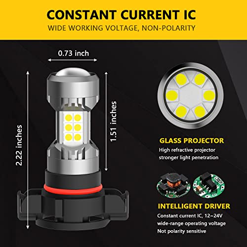 PHINLION 2504 PSX24W 12276 LED Fog Light Bulbs, 3200 Lumens Super Bright, 6000K Xenon White, 3030 30 SMD Chips, DRL Replacement Lamps for Cars, Trucks, SUVs, Pack of 2